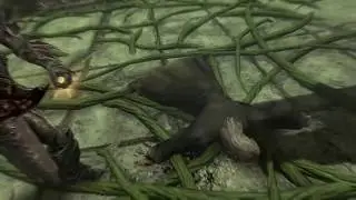 orchendor fight