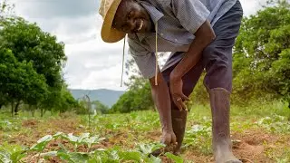 Coalition of Action for Soil Health: Global Soil Hub