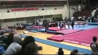 James Steck 2010 Temple Gymnastics Invitational