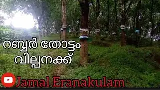 #JE162#JamalEranakulam റബ്ബർ തോട്ടം വില്പനക്ക്
