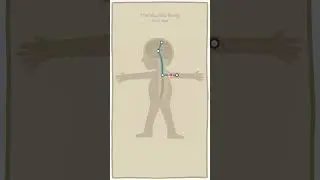 How do we feel pain?