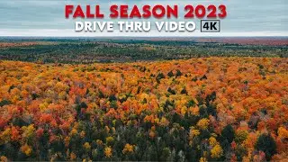Canada Fall Season 2023 | Fall colors Drive Walkthrough in 4K