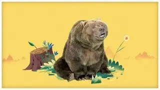 Animal Songs: 