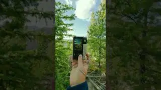 comment below to learn the film simulation I used #fujifilm