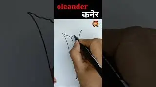 oleander simple drawing,#कनेर #drawing #viral #shortvideo #trending #short