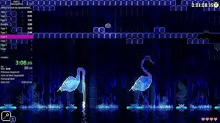 Animal Well any% Damageless Glitched 4:24:34