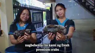 🦀 Davao City Crab Supplier | Fresh, Live & Premium Quality