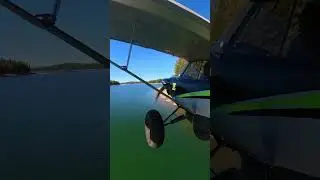Dois p&aacute;ssaros voando juntos para encontrar o melhor lugar para pousar...@stolpilot