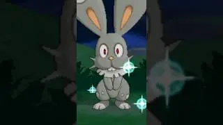 Pok&eacute; Radar ALL Shiny Pok&eacute;mon SHINY Bunnelby (Pok&eacute;mon X and Y)