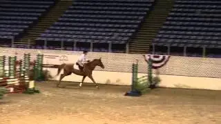 Video of SERAPHIM ridden by ANGELA ANGOTTI from ShowNet!