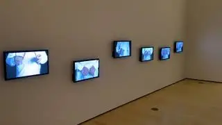 Nasim Nasr, What to Do? (2012) in the Asia Society Triennial: We Do Not Dream Alone