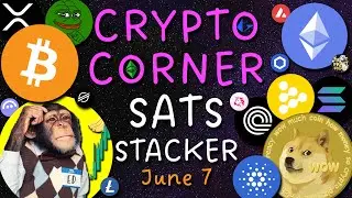 Crypto Corner Sats Stacker: Higher Lows 👀
