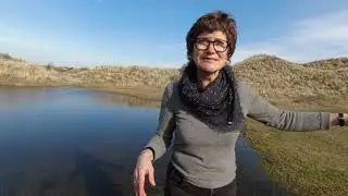 Национальный парк Зёйд-Кеннемерланд, Нидерланды