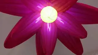 Pink Inflatable Flowers Direction How To Decorate Visual Feast Stage Decoration