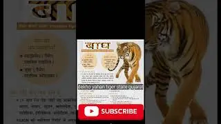 Gir Lion and Ratanmahal Tiger tour