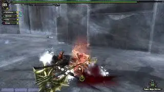 Monster Hunter Frontier ZZ - 1 district fail