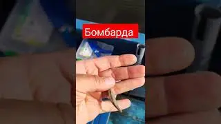 снасть бомбарда она же сбирулино