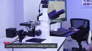 HST101-BW Metallographic Microscope