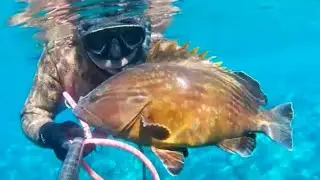 Pescasub: La prima pescata del 2026 la faccio nel posto giusto
