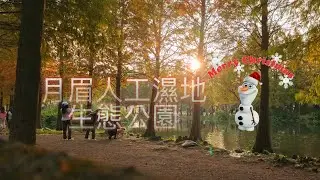#落羽松 #落羽松大道 #月眉 #月眉人工濕地生態公園 #耶誕節 #耶誕快樂 