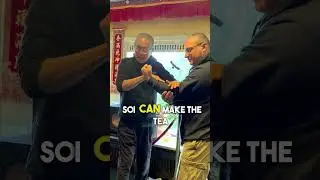 Sink to create heavy hands #kungfu #internalpower #neigong #qigong #Yanshougong
