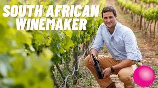 Making WINE In South Africa - The Pink Grape 🥂🍷🇿🇦