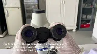 Observation Of Blood Cells Under Microscope