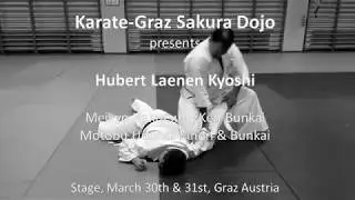 Hubert Laenen - Stage March 2019 Graz - Meikyo Bunkai