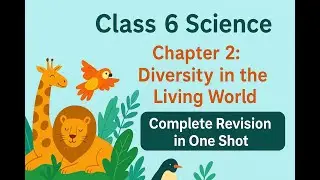 Class 6 Science | Chapter 2: Diversity in the Living World | Complete Revision in One Shot NCERT