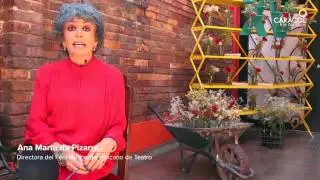 Pregunta 1: &iquest;Qu&eacute; es carpa cabaret?