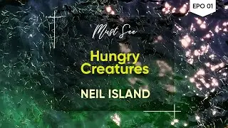 Hungry Colorful Creatures in Underwater | NEIL ISLAND | Andaman