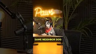 This Is How Farm Dogs Socialize 🤣 Funny Dog Podcast | Paws On Air #dogpodcast #petpodcast #funnydog