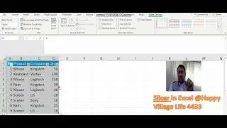 Slicer in Excel