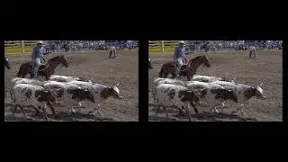 Rodeo 3d cross eyed stereo photography stereoscopic 3D video