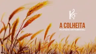 Playback Kerigma A colheita