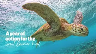 The Great Barrier Reef in 2025: a year of challenges, action and hope.