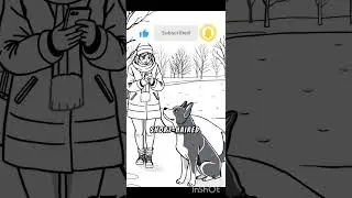 Winter care tips for dogs #part1