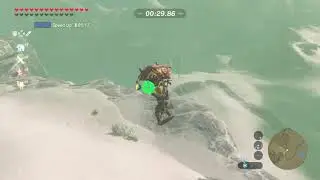Selmie's Shield Surfing Advanced in 55:47 [WR] - Zelda: Breath of the Wild