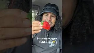 Strawberry dari kayangan