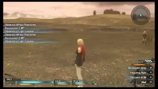 Dam-sir in Distress Task in Final Fantasy Type-0
