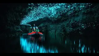 Waitomo Glowworm Caves  A Magical Underground Galaxy in New Zealand!