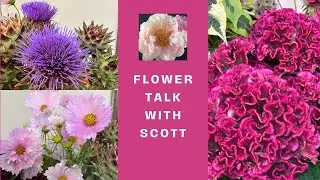 Summer Flowers Series: Choosing New Cut Flower Varieties For Your Flower Farm or Garden.   Part 5