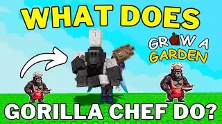 What Does Gorilla Chef Do in Grow a Garden | How To Get Gorilla Chef in Grow a Garden | Roblox