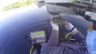 Float Tube Fishing for Saltwater Bass