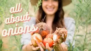What's the REAL Difference Between Short and Long Day Onions?