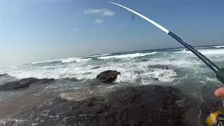 Brighton Beach KZN - Light tackle scratching
