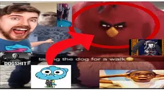 MR BEAST I FILLED SPONGEBOB AND GUMBALL, NO WAY GUY FEATURED?!? ESPAINOL ELL CELESTIA SPRUNKI SKIBI?