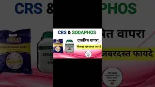 CRS & SODAPHOS #crspowder #sodaphos #phosphourus #minerals #infertility #anoustrus #silentheat