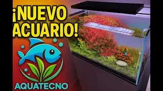 Evolución del nuevo acuario