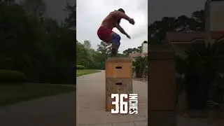 Liver king can jump high! #fyp #gym #liverking #primal #tiktok #viral